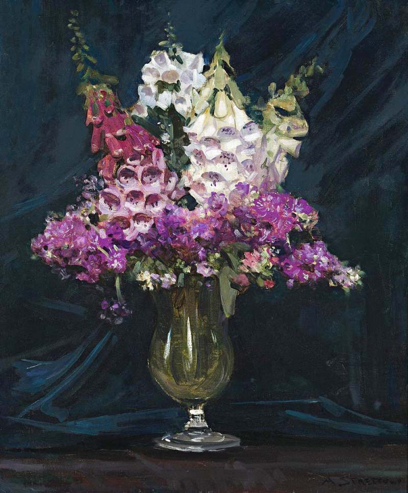 foxgloves and stocks